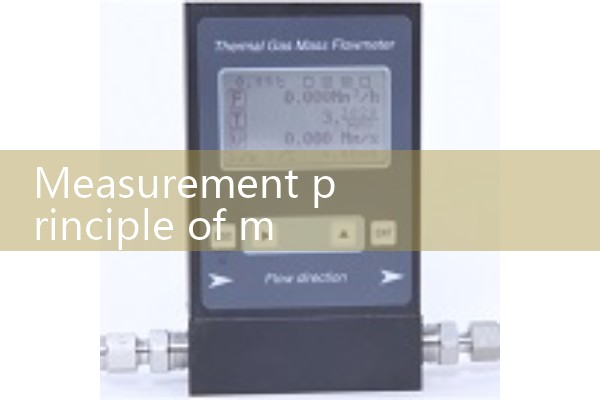 Measurement principle of mass flowmeter